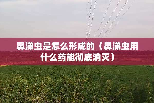 鼻涕虫是怎么形成的（鼻涕虫用什么药能彻底消灭）