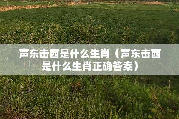 声东击西是什么生肖（声东击西是什么生肖正确答案）