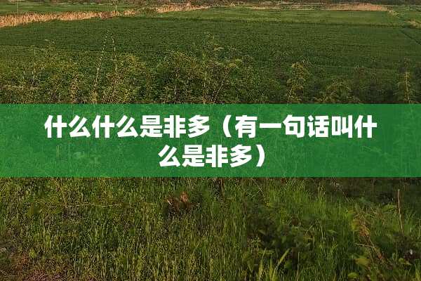 什么什么是非多（有一句话叫什么是非多）