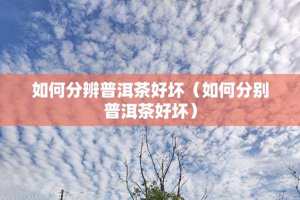 如何分辨普洱茶好坏（如何分别普洱茶好坏）