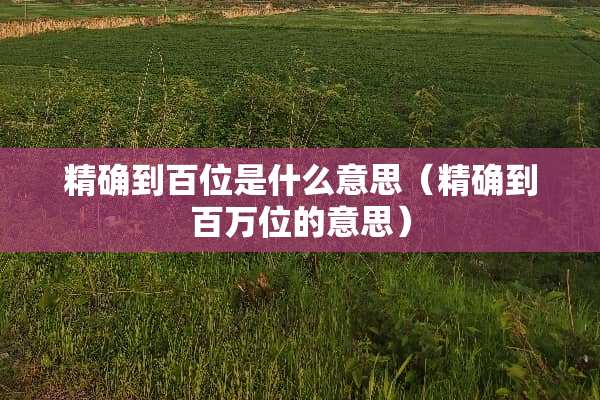 精确到百位是什么意思（精确到百万位的意思）