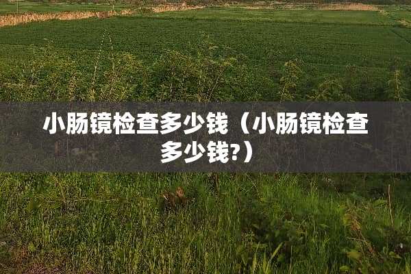 小肠镜检查多少钱（小肠镜检查多少钱?）