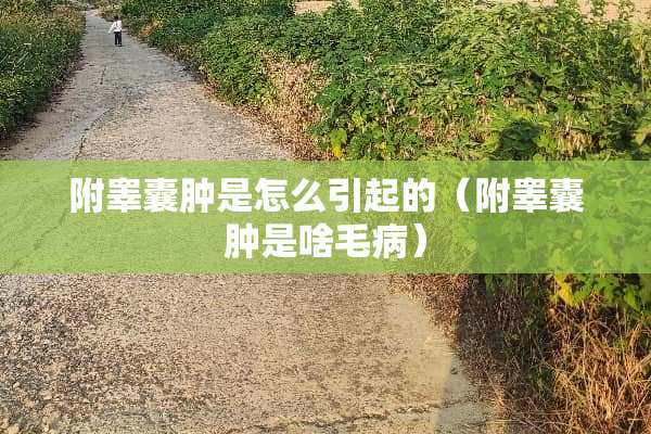 附睾囊肿是怎么引起的（附睾囊肿是啥毛病）