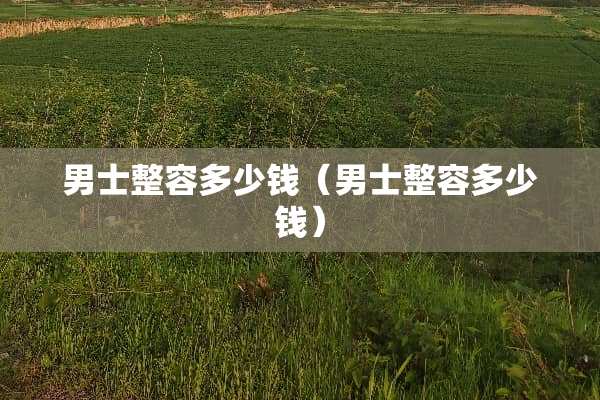 男士整容多少钱（男士整容多少钱）