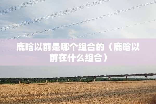 鹿晗以前是哪个组合的（鹿晗以前在什么组合）