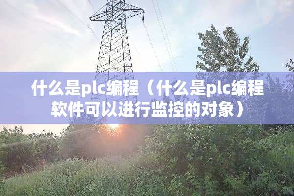 什么是plc编程（什么是plc编程软件可以进行监控的对象）