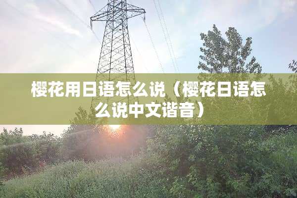 樱花用日语怎么说（樱花日语怎么说中文谐音）