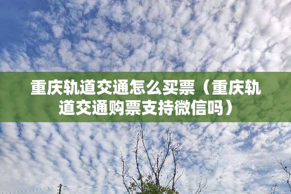 重庆轨道交通怎么买票（重庆轨道交通购票支持微信吗）