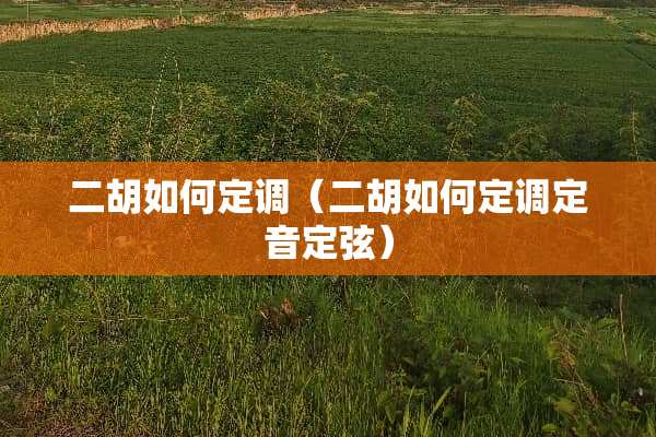 二胡如何定调（二胡如何定调定音定弦）