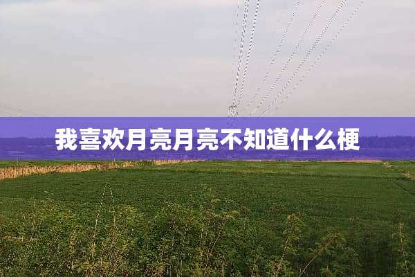 我喜欢月亮月亮不知道什么梗