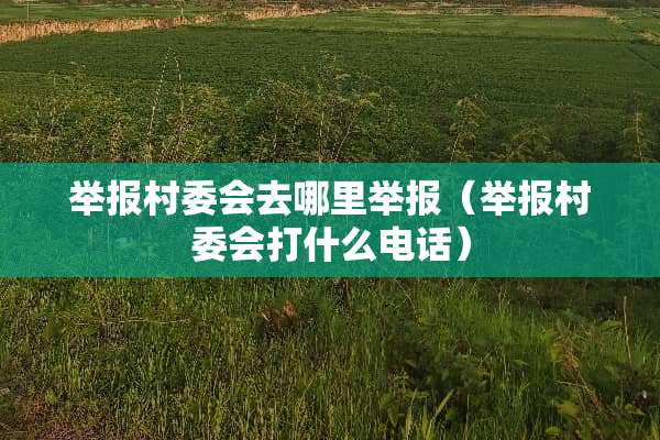 举报村委会去哪里举报（举报村委会打什么电话）