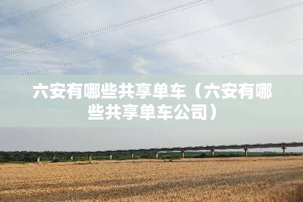 六安有哪些共享单车（六安有哪些共享单车公司）
