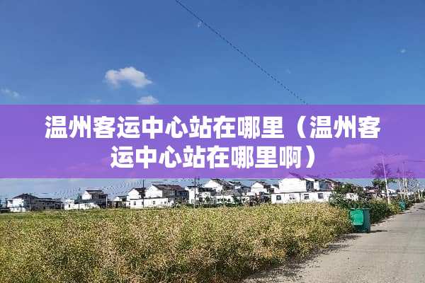 温州客运中心站在哪里（温州客运中心站在哪里啊）