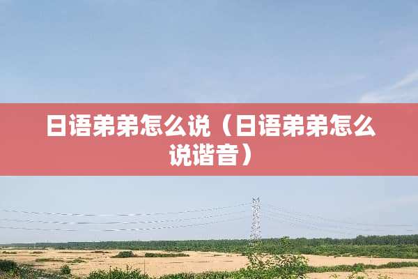 日语弟弟怎么说（日语弟弟怎么说谐音）