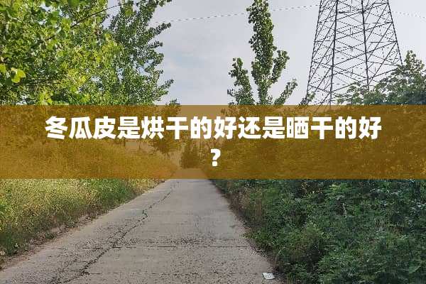 冬瓜皮是烘干的好还是晒干的好？