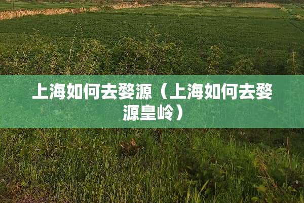 上海如何去婺源（上海如何去婺源皇岭）