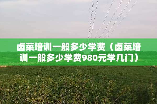 卤菜培训一般多少学费（卤菜培训一般多少学费980元学几门）