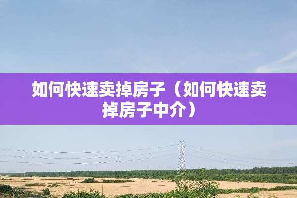 如何快速卖掉房子（如何快速卖掉房子中介）
