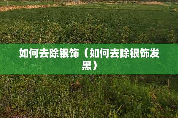 如何去除银饰（如何去除银饰发黑）