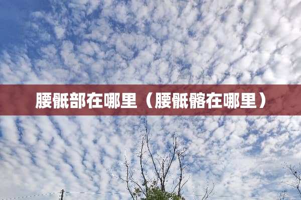 腰骶部在哪里（腰骶髂在哪里）