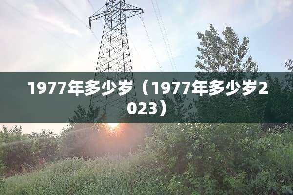 1977年多少岁（1977年多少岁2023）