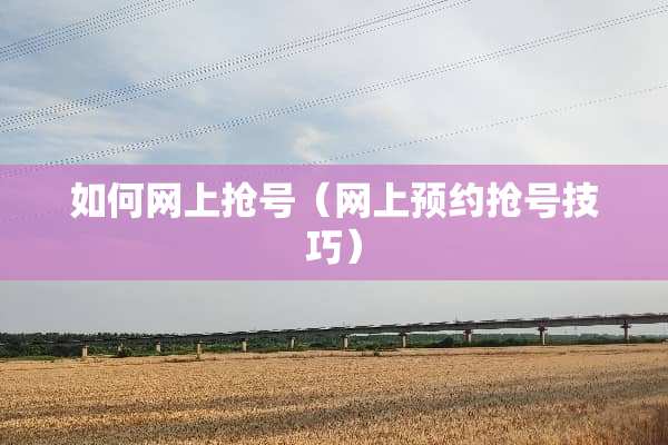 如何网上抢号（网上预约抢号技巧）