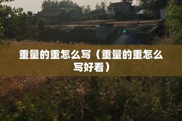 重量的重怎么写（重量的重怎么写好看）