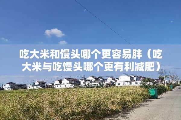 吃大米和馒头哪个更容易胖（吃大米与吃馒头哪个更有利减肥）