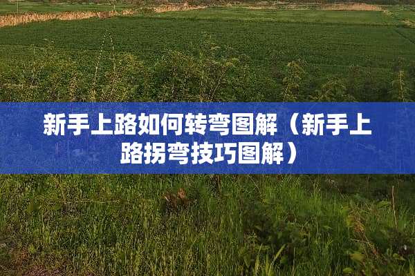 新手上路如何转弯图解（新手上路拐弯技巧图解）