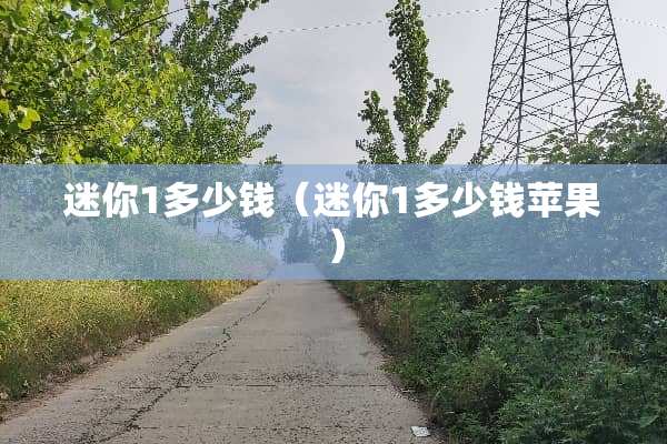 迷你1多少钱（迷你1多少钱苹果）