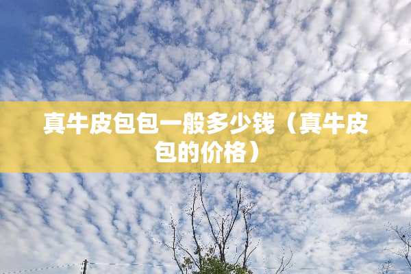 真牛皮包包一般多少钱（真牛皮包的价格）