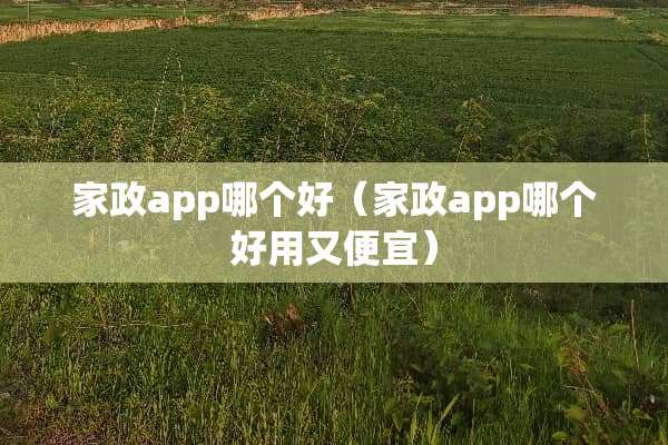家政app哪个好（家政app哪个好用又便宜）