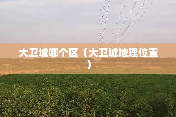 大卫城哪个区（大卫城地理位置）