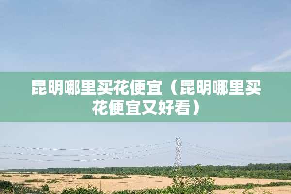 昆明哪里买花便宜（昆明哪里买花便宜又好看）