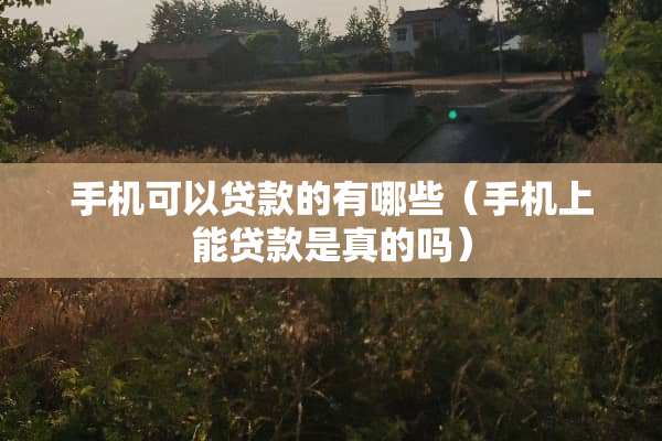 手机可以贷款的有哪些（手机上能贷款是真的吗）