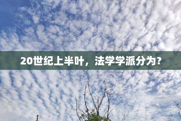 20世纪上半叶，法学学派分为？