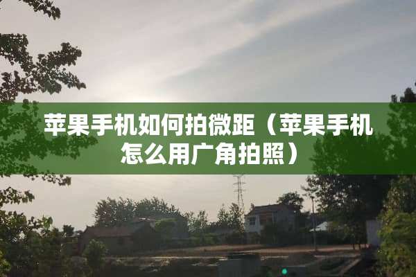 苹果手机如何拍微距（苹果手机怎么用广角拍照）