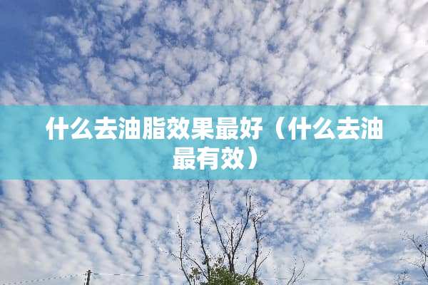 什么去油脂效果最好（什么去油最有效）