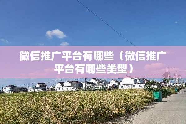 微信推广平台有哪些（微信推广平台有哪些类型）