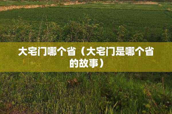 大宅门哪个省（大宅门是哪个省的故事）