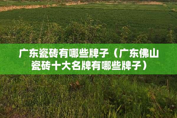 广东瓷砖有哪些牌子（广东佛山瓷砖十大名牌有哪些牌子）
