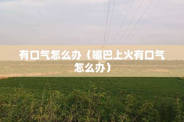 有口气怎么办（嘴巴上火有口气怎么办）