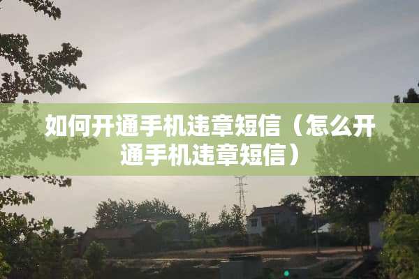 如何开通手机违章短信（怎么开通手机违章短信）