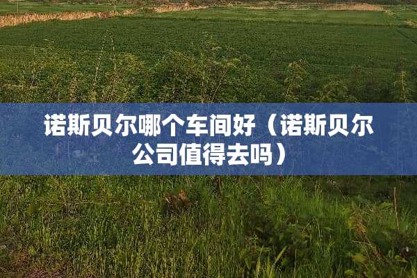诺斯贝尔哪个车间好（诺斯贝尔公司值得去吗）