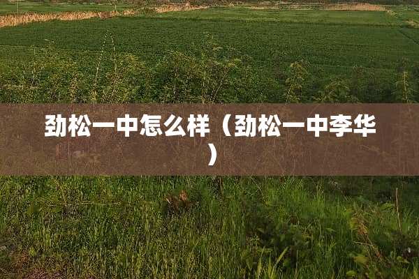 劲松一中怎么样（劲松一中李华）