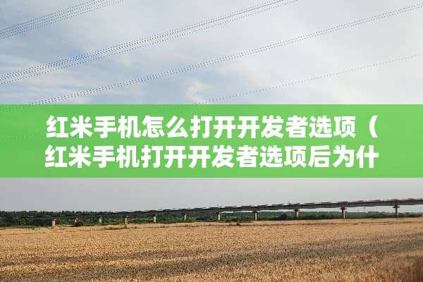 红米手机怎么打开开发者选项（红米手机打开开发者选项后为什么自动关闭）