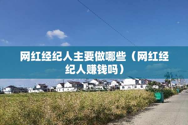 网红经纪人主要做哪些（网红经纪人赚钱吗）