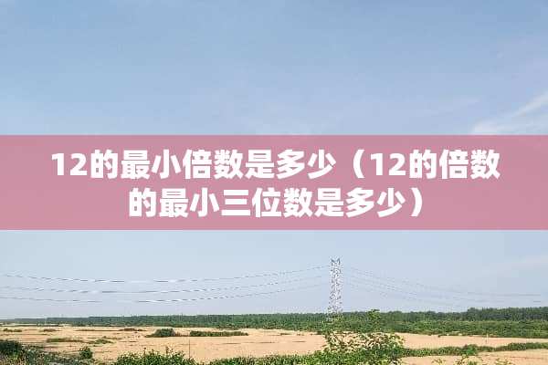 12的最小倍数是多少（12的倍数的最小三位数是多少）