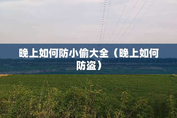 晚上如何防小偷大全（晚上如何防盗）
