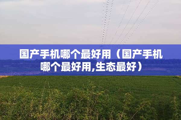 国产手机哪个最好用（国产手机哪个最好用,生态最好）